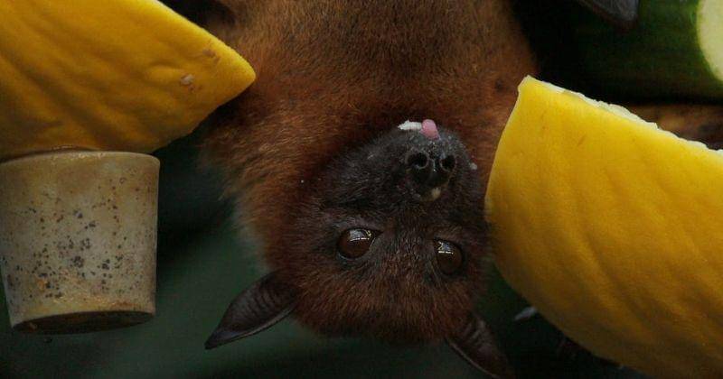 Pexels/Miriam Fischer